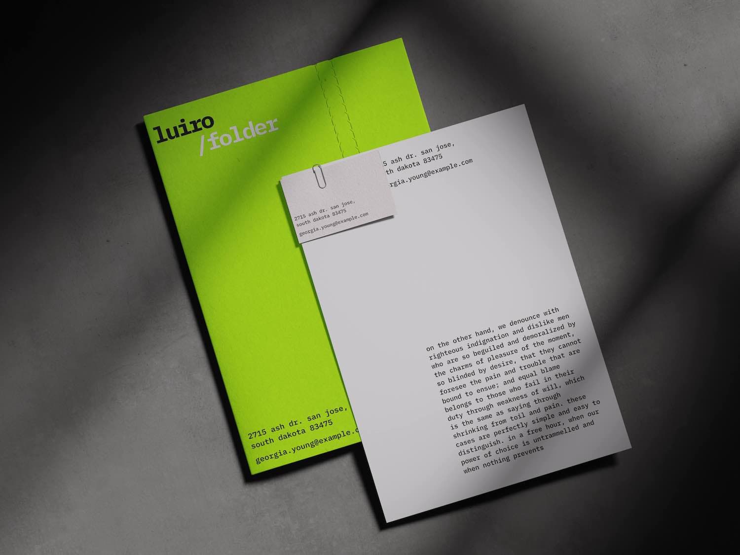 Luiro online mockup